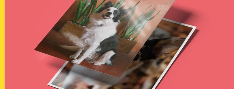 Klasiskā foto izdruka